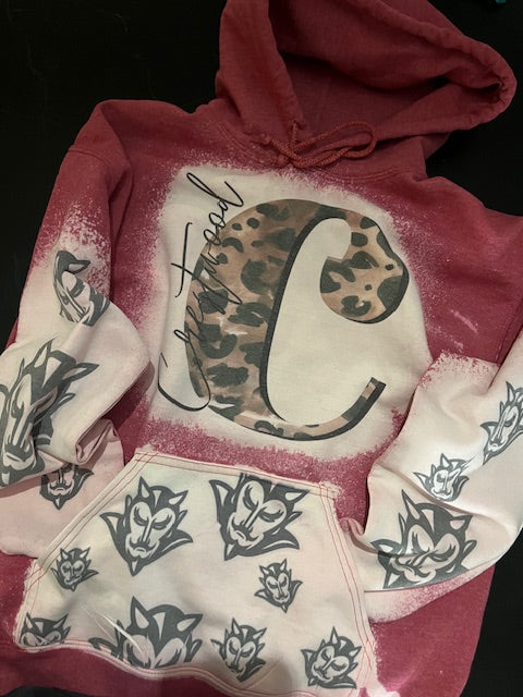School Mascot Hoodies (Youth)
